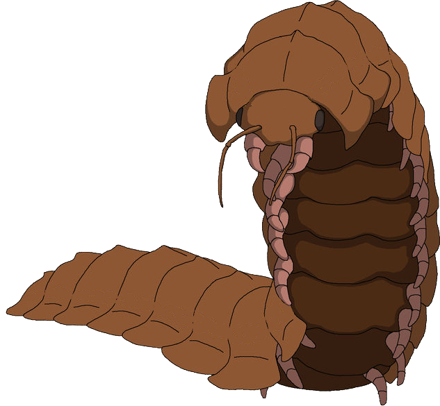 Arthropleura (Female) Blank Meme Template