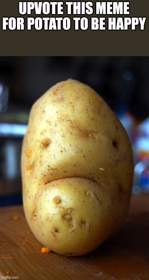 sad potato | UPVOTE THIS MEME FOR POTATO TO BE HAPPY | image tagged in sad potato | made w/ Imgflip meme maker