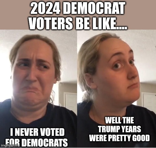Red pilled | 2024 DEMOCRAT VOTERS BE LIKE.... WELL THE TRUMP YEARS WERE PRETTY GOOD; I NEVER VOTED FOR DEMOCRATS | image tagged in on second thought an an0nym0us template | made w/ Imgflip meme maker