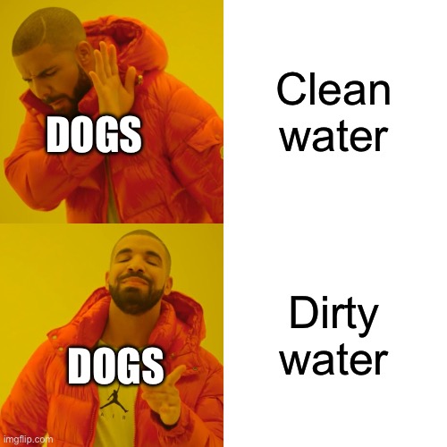 Drake Hotline Bling | Clean water; DOGS; Dirty water; DOGS | image tagged in memes,drake hotline bling | made w/ Imgflip meme maker