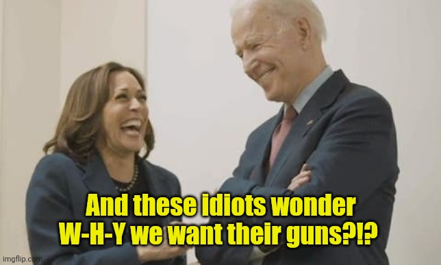 Biden Harris Laughing | And these idiots wonder W-H-Y we want their guns?!? | image tagged in biden harris laughing | made w/ Imgflip meme maker
