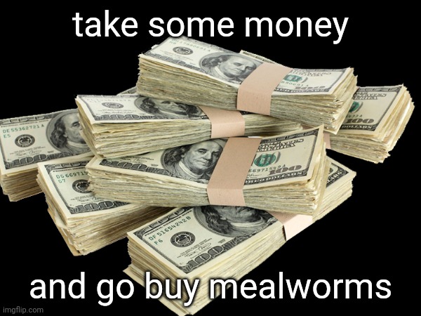take some money and go buy mealworms | made w/ Imgflip meme maker