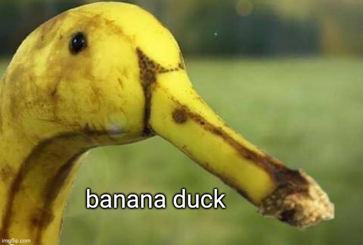 (Arden Note: banana duck) | banana duck | made w/ Imgflip meme maker