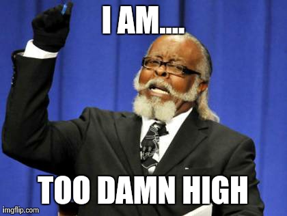 Too Damn High | I AM.... TOO DAMN HIGH | image tagged in memes,too damn high | made w/ Imgflip meme maker