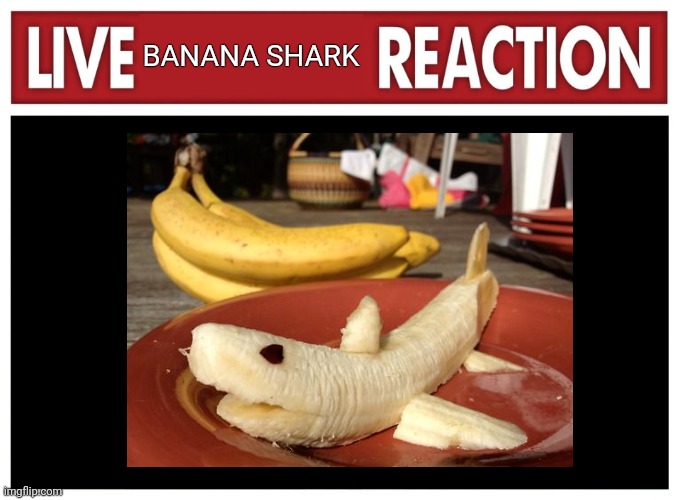 Live banana shark reaction | BANANA SHARK | image tagged in live reaction,food memes | made w/ Imgflip meme maker