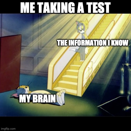 This always happens to me | ME TAKING A TEST; THE INFORMATION I KNOW; MY BRAIN | image tagged in school meme,funny memes,relatable memes | made w/ Imgflip meme maker