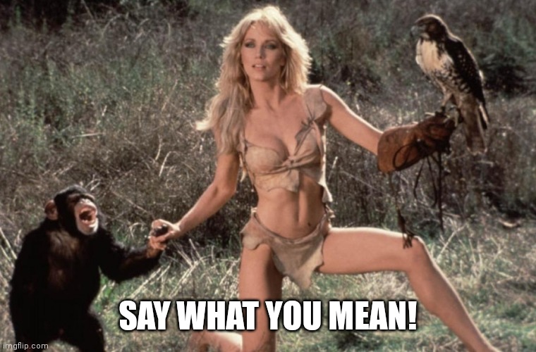 Say What You Mean! | SAY WHAT YOU MEAN! | image tagged in sheena,jungle | made w/ Imgflip meme maker