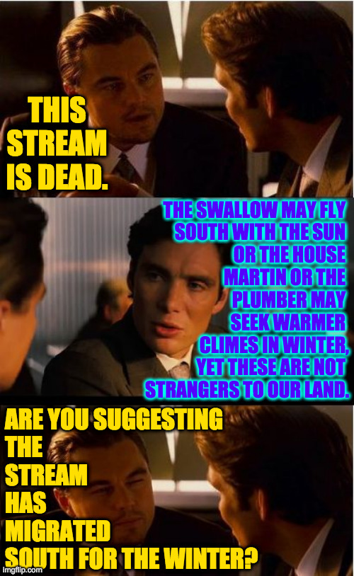 Inception Meme | THIS STREAM IS DEAD. THE SWALLOW MAY FLY 
SOUTH WITH THE SUN 
OR THE HOUSE 
MARTIN OR THE 
PLUMBER MAY 
SEEK WARMER 
CLIMES IN WINTER,
YET T | image tagged in memes,inception | made w/ Imgflip meme maker