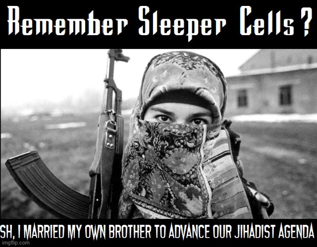 Says she enjoys being in a Sleeper Cell w/ her bro very much | image tagged in vince vance,ilhan omar,jihadist,hamas,islamic terrorism,memes | made w/ Imgflip meme maker