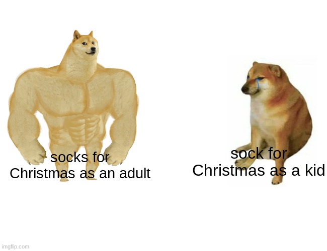 Buff Doge vs. Cheems | sock for Christmas as a kid; socks for Christmas as an adult | image tagged in memes,buff doge vs cheems | made w/ Imgflip meme maker