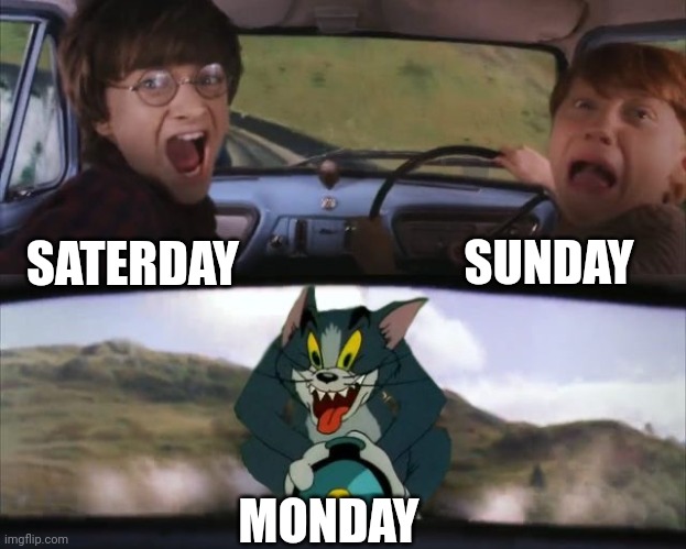 Tom chasing Harry and Ron Weasly | SUNDAY; SATERDAY; MONDAY | image tagged in tom chasing harry and ron weasly | made w/ Imgflip meme maker