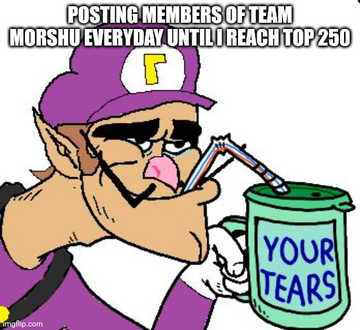 Day 30 | POSTING MEMBERS OF TEAM MORSHU EVERYDAY UNTIL I REACH TOP 250 | image tagged in waluigi drinking tears | made w/ Imgflip meme maker