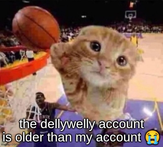 ballin cat | the dellywelly account is older than my account 😭 | image tagged in ballin cat | made w/ Imgflip meme maker