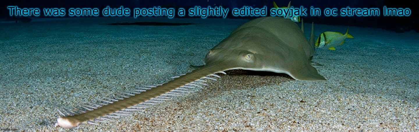 Cool sawfish | There was some dude posting a slightly edited soyjak in oc stream lmao | image tagged in cool sawfish | made w/ Imgflip meme maker