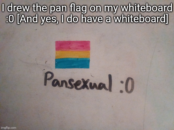 I drew the pan flag on my whiteboard :0 [And yes, I do have a whiteboard] | image tagged in idk stuff s o u p carck | made w/ Imgflip meme maker