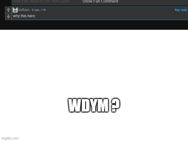 Wdym ? | WDYM ? | image tagged in pro-fandom,wojak,war | made w/ Imgflip meme maker
