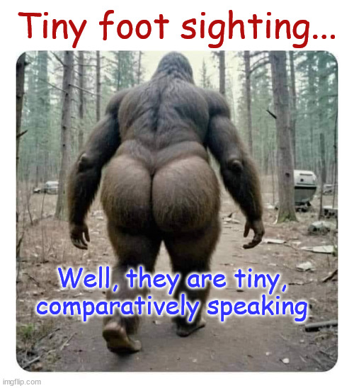 Tiny foot sighting... | Tiny foot sighting... Well, they are tiny, comparatively speaking | image tagged in eye roll,bigfoot,big ass | made w/ Imgflip meme maker