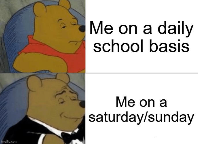 Tuxedo Winnie The Pooh | Me on a daily school basis; Me on a saturday/sunday | image tagged in memes,tuxedo winnie the pooh | made w/ Imgflip meme maker