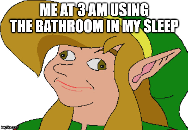 Derp Link | ME AT 3 AM USING THE BATHROOM IN MY SLEEP | image tagged in derp link | made w/ Imgflip meme maker