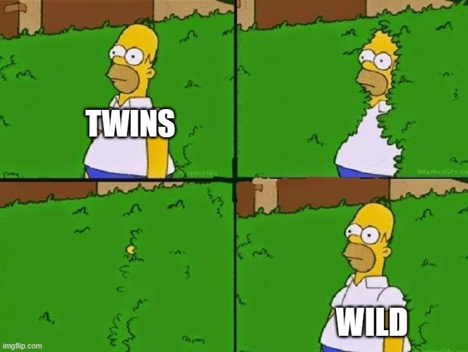 HOMER BUSH | TWINS; WILD | image tagged in homer bush | made w/ Imgflip meme maker