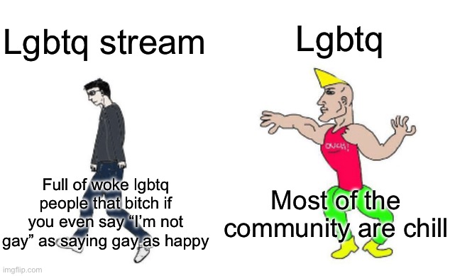 Virgin vs Chad | Lgbtq; Lgbtq stream; Most of the community are chill; Full of woke lgbtq people that bitch if you even say “I’m not gay” as saying gay as happy | image tagged in virgin vs chad | made w/ Imgflip meme maker