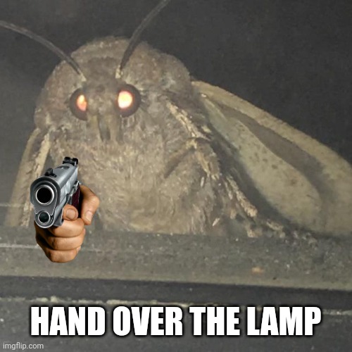 Moth lamp | HAND OVER THE LAMP | image tagged in moth lamp | made w/ Imgflip meme maker