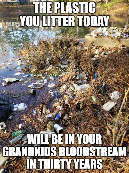 we so stupid | THE PLASTIC YOU LITTER TODAY; WILL BE IN YOUR GRANDKIDS BLOODSTREAM
IN THIRTY YEARS | image tagged in pollution,microplastic | made w/ Imgflip meme maker