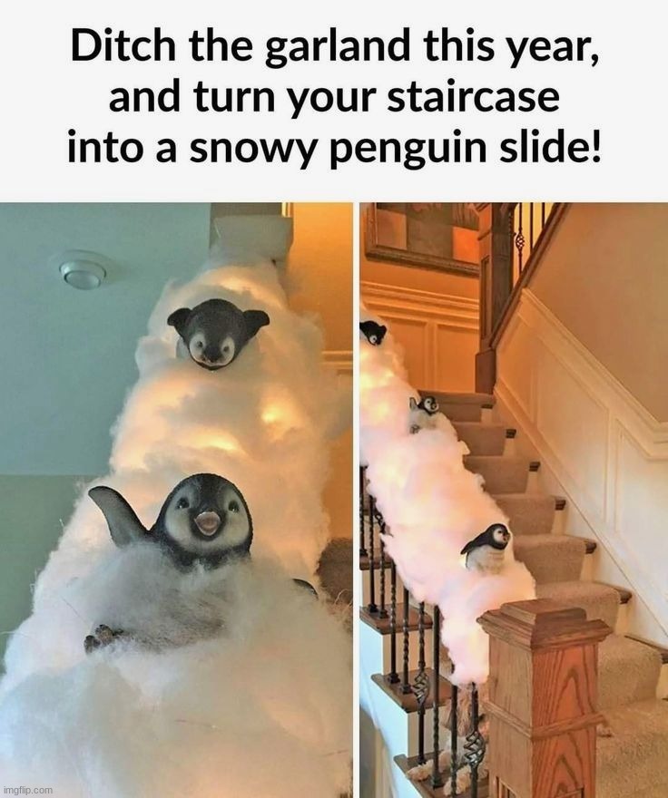 This is so adorable! | image tagged in memes,funny | made w/ Imgflip meme maker