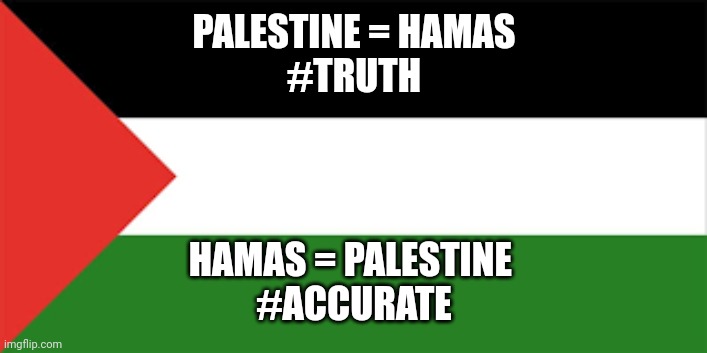 Hamas is Palestine | PALESTINE = HAMAS
#TRUTH; HAMAS = PALESTINE 
#ACCURATE | image tagged in palestine flag,hamas | made w/ Imgflip meme maker