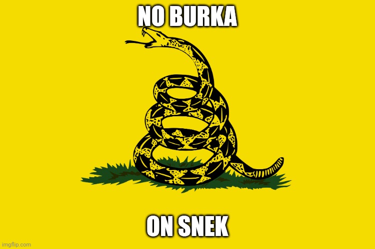 Don't tread on me | NO BURKA ON SNEK | image tagged in don't tread on me | made w/ Imgflip meme maker