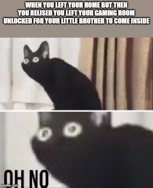 Oh no cat | WHEN YOU LEFT YOUR HOME BUT THEN YOU RELISED YOU LEFT YOUR GAMING ROOM UNLOCKED FOR YOUR LITTLE BROTHER TO COME INSIDE | image tagged in oh no cat | made w/ Imgflip meme maker