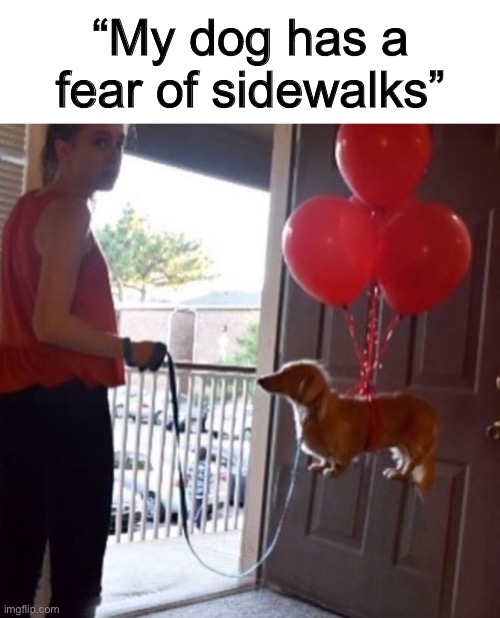 This is HILARIOUS LOL | “My dog has a fear of sidewalks” | made w/ Imgflip meme maker