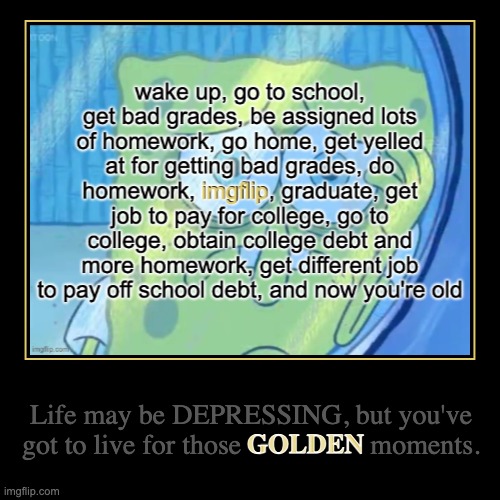 Hang in there | GOLDEN | Life may be DEPRESSING, but you've got to live for those GOLDEN moments. | image tagged in funny,demotivationals | made w/ Imgflip demotivational maker