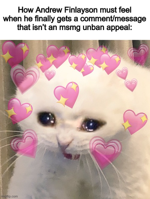 Quack | How Andrew Finlayson must feel when he finally gets a comment/message that isn’t an msmg unban appeal: | image tagged in loving crying cat | made w/ Imgflip meme maker