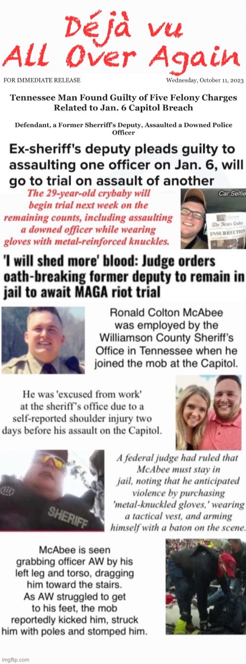 Déjà vu | image tagged in pleads and convicted,domestic terrorists,assault,treason,tuff guy in crowd,desperate 'our house' wife | made w/ Imgflip meme maker