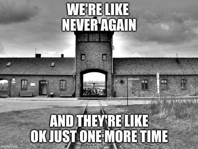 Never Again | WE'RE LIKE 
NEVER AGAIN; AND THEY'RE LIKE
OK JUST ONE MORE TIME | image tagged in aushwitz,never again,jews | made w/ Imgflip meme maker