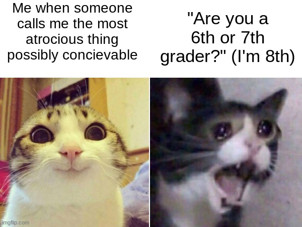 I'm sad about my height :( | Me when someone calls me the most atrocious thing possibly concievable; "Are you a 6th or 7th grader?" (I'm 8th) | image tagged in self esteem,memes,funny | made w/ Imgflip meme maker