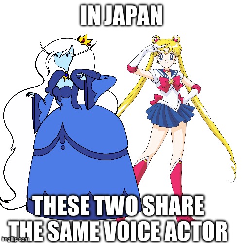 IN JAPAN; THESE TWO SHARE THE SAME VOICE ACTOR | image tagged in memes,sailor moon,adventure time,same voice actor | made w/ Imgflip meme maker