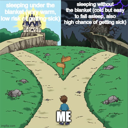 always when i go to sleep i cant decide which way to choose. | sleeping without the blanket (cold but easy to fall asleep, also high chance of getting sick); sleeping under the blanket (very warm, low risk of getting sick); ME | image tagged in two paths | made w/ Imgflip meme maker