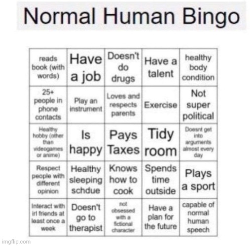This is sad, I don't even have one | image tagged in normal human bingo | made w/ Imgflip meme maker