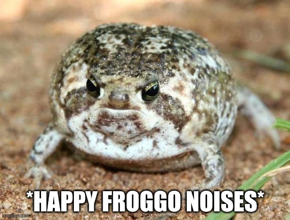 Froggo | *HAPPY FROGGO NOISES* | image tagged in froggo | made w/ Imgflip meme maker