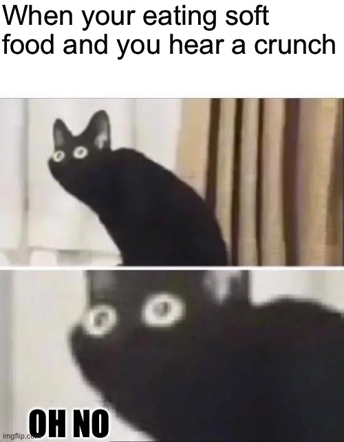 Oh No Black Cat | When your eating soft food and you hear a crunch; OH NO | image tagged in oh no black cat | made w/ Imgflip meme maker