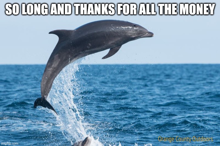 Dolphin | SO LONG AND THANKS FOR ALL THE MONEY | image tagged in funny memes | made w/ Imgflip meme maker