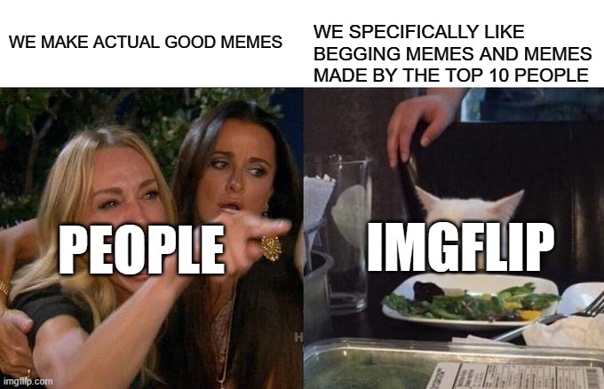 True | WE MAKE ACTUAL GOOD MEMES; WE SPECIFICALLY LIKE BEGGING MEMES AND MEMES MADE BY THE TOP 10 PEOPLE; PEOPLE; IMGFLIP | image tagged in memes,woman yelling at cat | made w/ Imgflip meme maker
