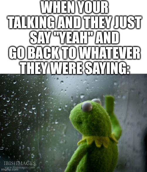 Whoops- | WHEN YOUR TALKING AND THEY JUST SAY "YEAH" AND GO BACK TO WHATEVER THEY WERE SAYING: | image tagged in kermit window | made w/ Imgflip meme maker