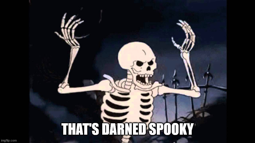 Spooky Skeleton | THAT'S DARNED SPOOKY | image tagged in spooky skeleton | made w/ Imgflip meme maker