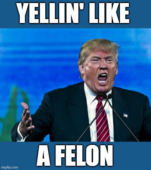 trump justa yellin' | YELLIN' LIKE; A FELON | image tagged in trump yelling,the secret ingredient is crime,criminal,stupid criminals,donald trump is an idiot,change my mind | made w/ Imgflip meme maker