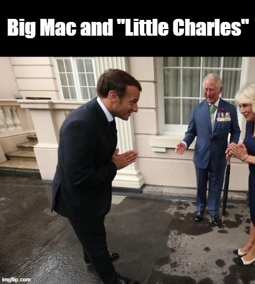 macron charles | image tagged in illusion,macron,king charles,funny,political humor | made w/ Imgflip meme maker