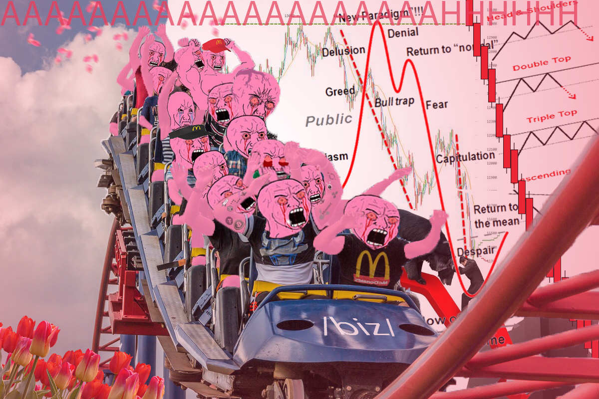 Pink Wojak Roller-coaster Blank Meme Template