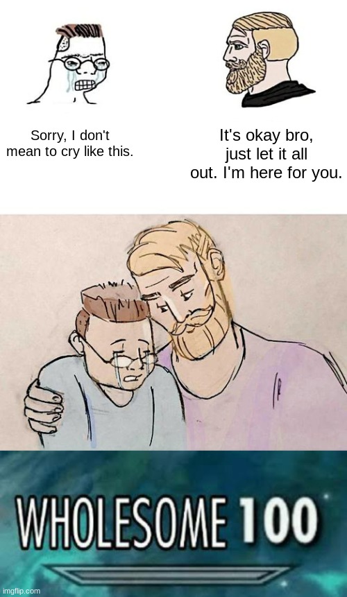 It's okay bro, just let it all out. I'm here for you. Sorry, I don't mean to cry like this. | image tagged in wholesome 100 | made w/ Imgflip meme maker